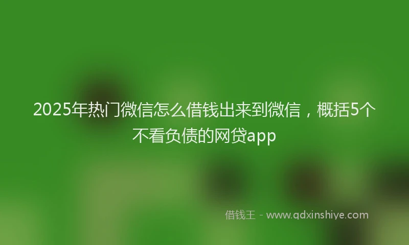 2025年热门微信怎么借钱出来到微信，概括5个不看负债的网贷app