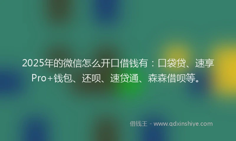 2025年的微信怎么开口借钱有：口袋贷、速享Pro+钱包、还呗、速贷通、森森借呗等。