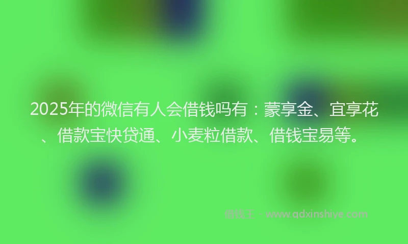 2025年的微信有人会借钱吗有：蒙享金、宜享花、借款宝快贷通、小麦粒借款、借钱宝易等。