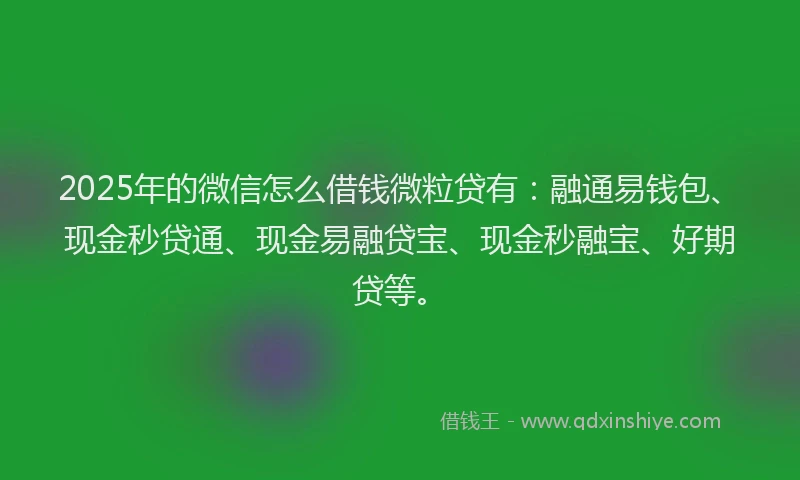 2025年的微信怎么借钱微粒贷有：融通易钱包、现金秒贷通、现金易融贷宝、现金秒融宝、好期贷等。
