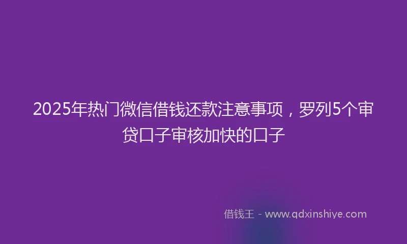 2025年热门微信借钱还款注意事项，罗列5个审贷口子审核加快的口子