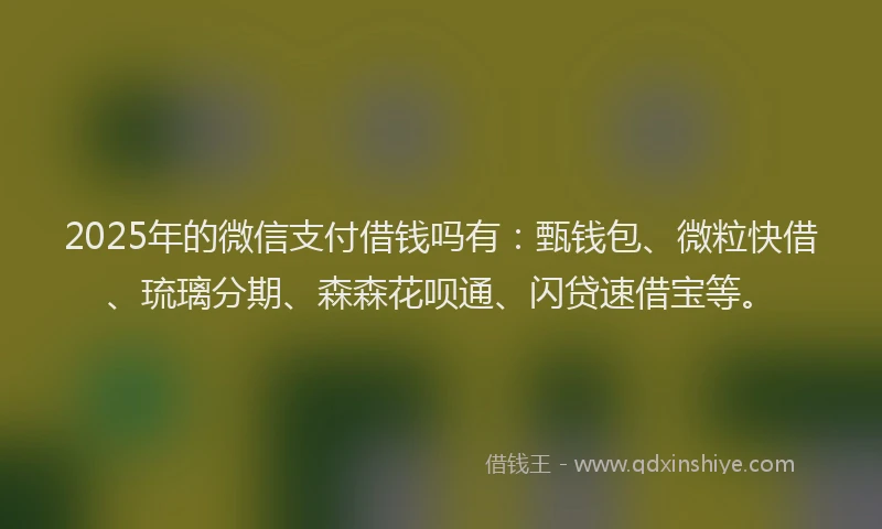 2025年的微信支付借钱吗有：甄钱包、微粒快借、琉璃分期、森森花呗通、闪贷速借宝等。