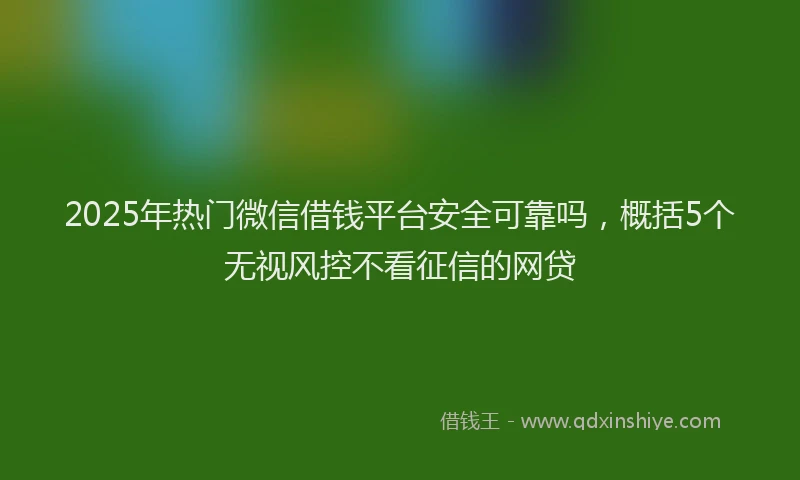 2025年热门微信借钱平台安全可靠吗，概括5个无视风控不看征信的网贷