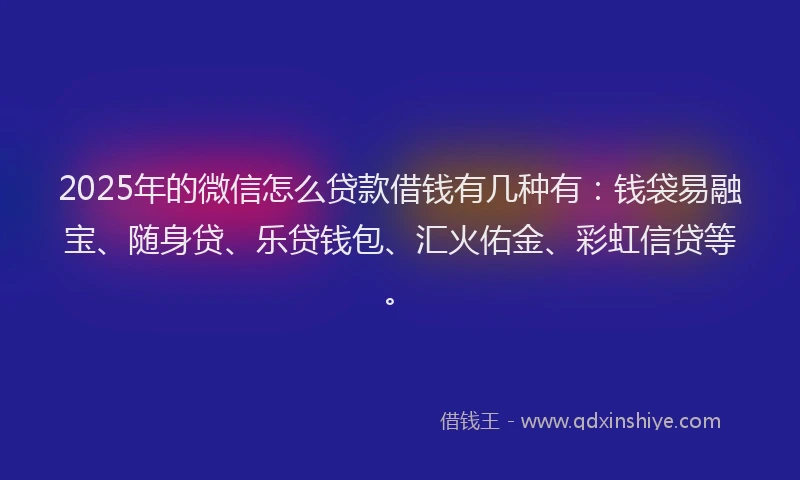 2025年的微信怎么贷款借钱有几种有：钱袋易融宝、随身贷、乐贷钱包、汇火佑金、彩虹信贷等。