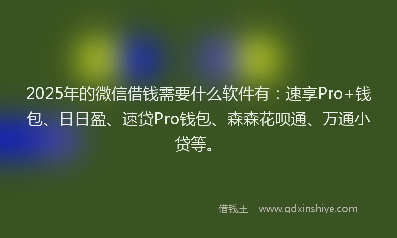2025年的微信借钱需要什么软件有：速享Pro+钱包、日日盈、速贷Pro钱包、森森花呗通、万通小贷等。