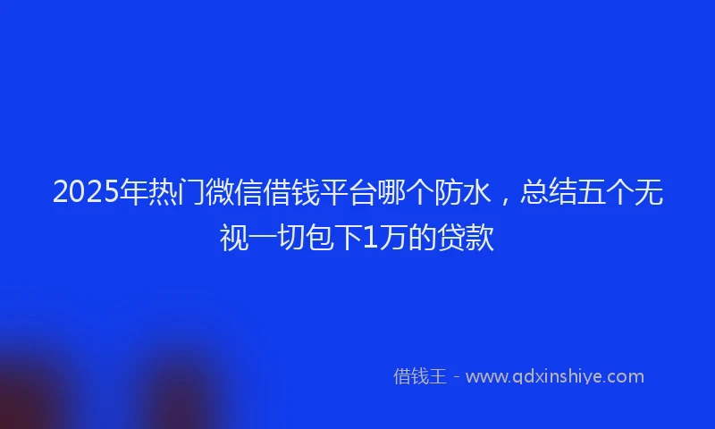2025年热门微信借钱平台哪个防水，总结五个无视一切包下1万的贷款