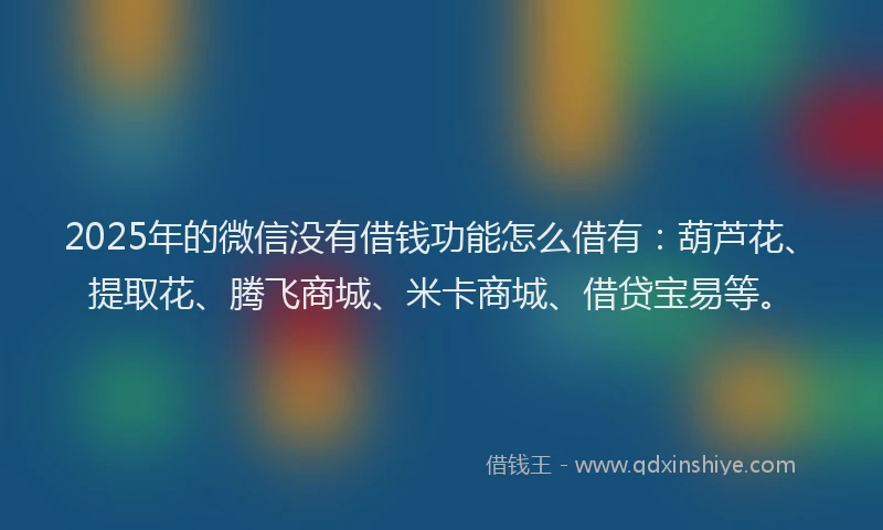 2025年的微信没有借钱功能怎么借有：葫芦花、提取花、腾飞商城、米卡商城、借贷宝易等。