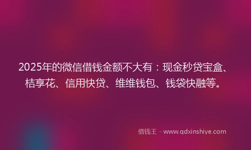 2025年的微信借钱金额不大有：现金秒贷宝盒、桔享花、信用快贷、维维钱包、钱袋快融等。