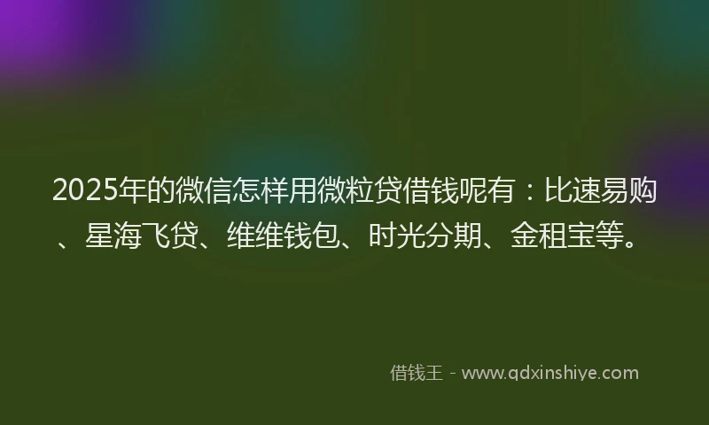 2025年的微信怎样用微粒贷借钱呢有：比速易购、星海飞贷、维维钱包、时光分期、金租宝等。