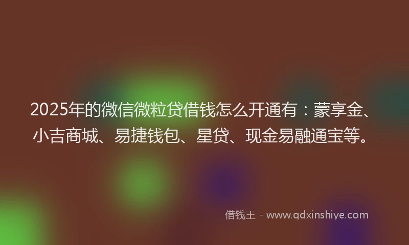2025年的微信微粒贷借钱怎么开通有：蒙享金、小吉商城、易捷钱包、星贷、现金易融通宝等。