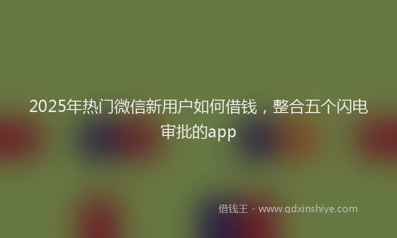 2025年热门微信新用户如何借钱，整合五个闪电审批的app