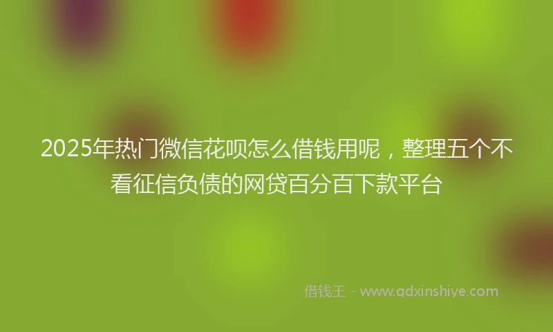 2025年热门微信花呗怎么借钱用呢，整理五个不看征信负债的网贷百分百下款平台