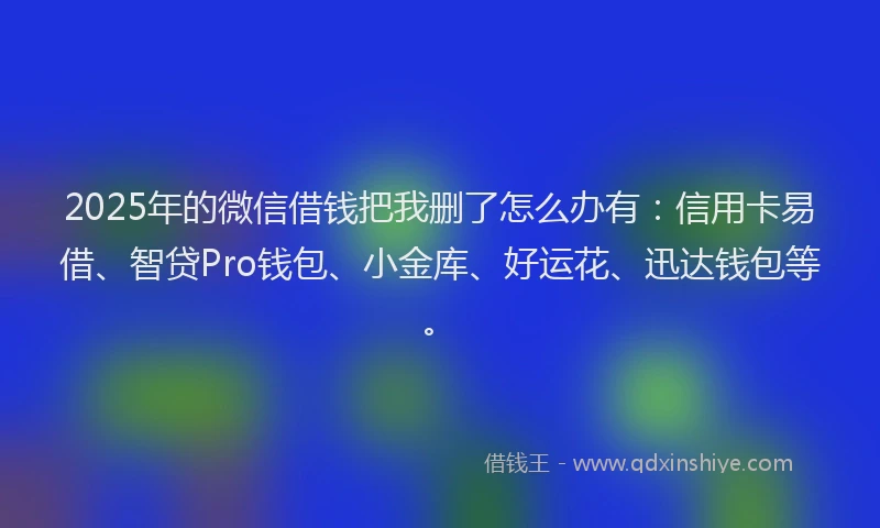 2025年的微信借钱把我删了怎么办有：信用卡易借、智贷Pro钱包、小金库、好运花、迅达钱包等。