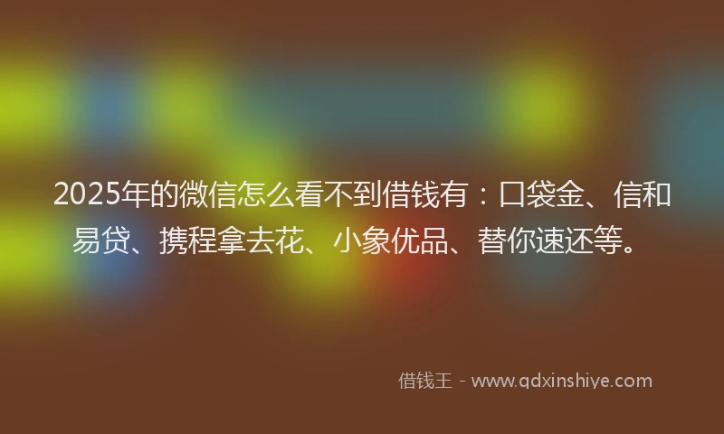 2025年的微信怎么看不到借钱有：口袋金、信和易贷、携程拿去花、小象优品、替你速还等。