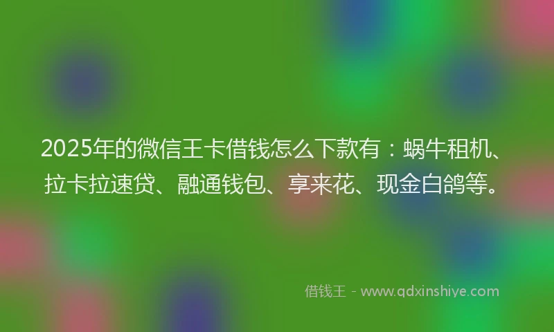 2025年的微信王卡借钱怎么下款有：蜗牛租机、拉卡拉速贷、融通钱包、享来花、现金白鸽等。