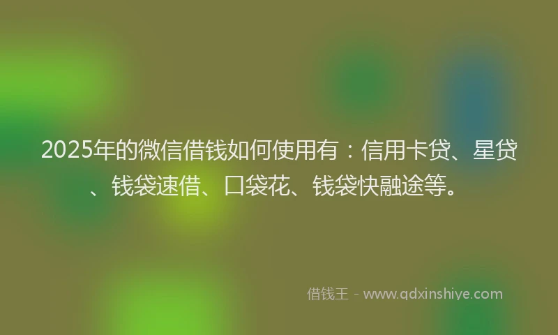 2025年的微信借钱如何使用有：信用卡贷、星贷、钱袋速借、口袋花、钱袋快融途等。