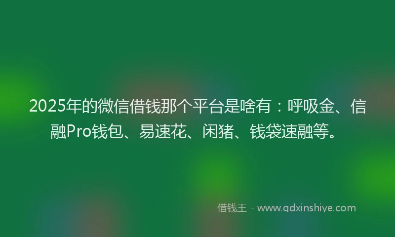 2025年的微信借钱那个平台是啥有：呼吸金、信融Pro钱包、易速花、闲猪、钱袋速融等。