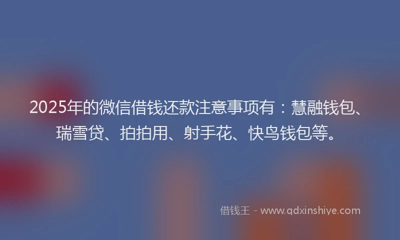 2025年的微信借钱还款注意事项有：慧融钱包、瑞雪贷、拍拍用、射手花、快鸟钱包等。