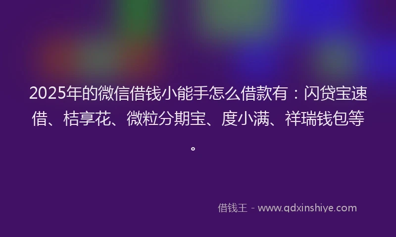2025年的微信借钱小能手怎么借款有：闪贷宝速借、桔享花、微粒分期宝、度小满、祥瑞钱包等。