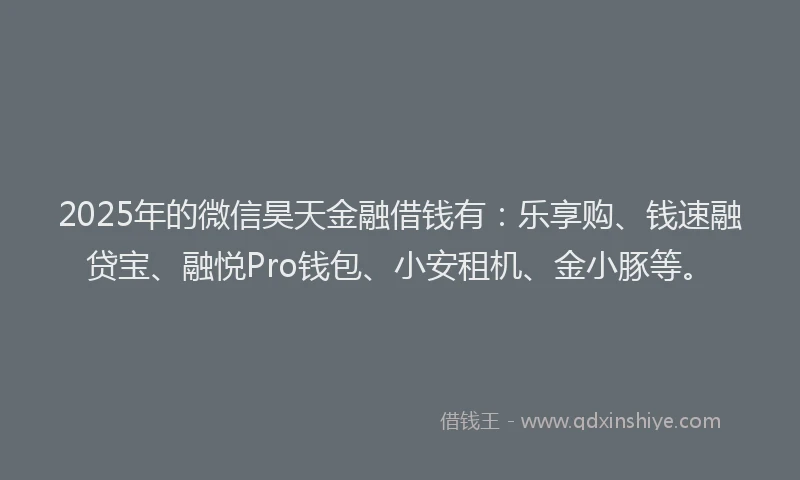 2025年的微信昊天金融借钱有：乐享购、钱速融贷宝、融悦Pro钱包、小安租机、金小豚等。