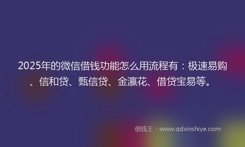 2025年的微信借钱功能怎么用流程有：极速易购、信和贷、甄信贷、金瀛花、借贷宝易等。