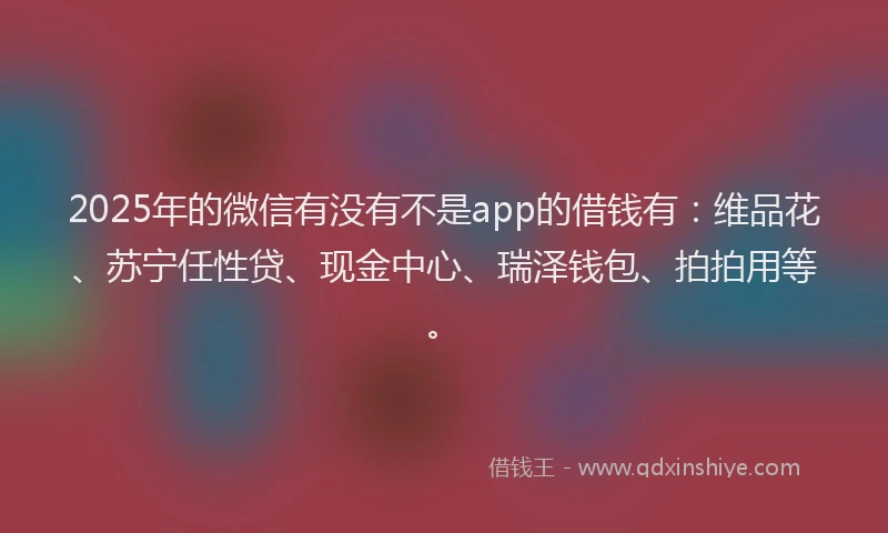 2025年的微信有没有不是app的借钱有：维品花、苏宁任性贷、现金中心、瑞泽钱包、拍拍用等。