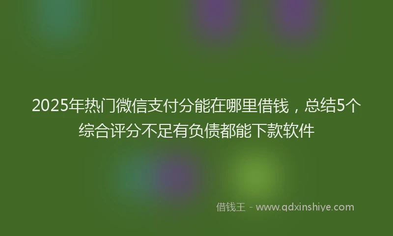 2025年热门微信支付分能在哪里借钱，总结5个综合评分不足有负债都能下款软件