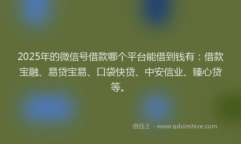 2025年的微信号借款哪个平台能借到钱有：借款宝融、易贷宝易、口袋快贷、中安信业、臻心贷等。