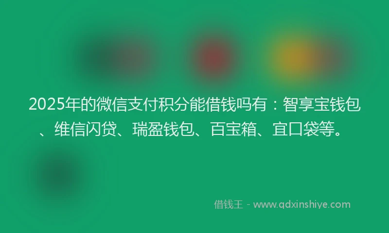 2025年的微信支付积分能借钱吗有：智享宝钱包、维信闪贷、瑞盈钱包、百宝箱、宜口袋等。