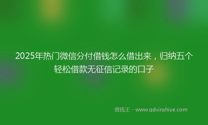 2025年热门微信分付借钱怎么借出来，归纳五个轻松借款无征信记录的口子
