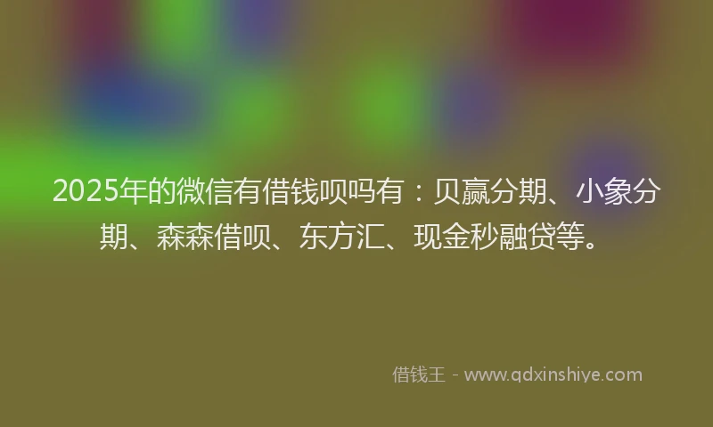 2025年的微信有借钱呗吗有：贝赢分期、小象分期、森森借呗、东方汇、现金秒融贷等。