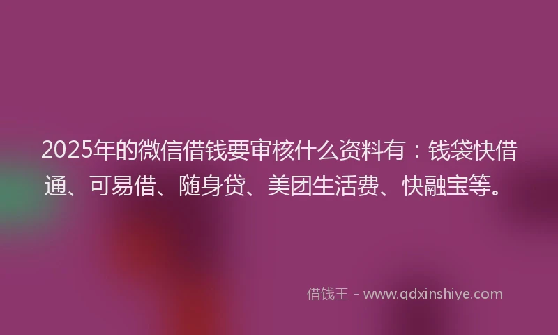 2025年的微信借钱要审核什么资料有：钱袋快借通、可易借、随身贷、美团生活费、快融宝等。
