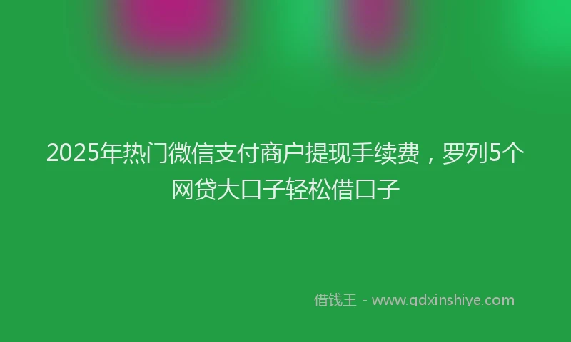 2025年热门微信支付商户提现手续费，罗列5个网贷大口子轻松借口子