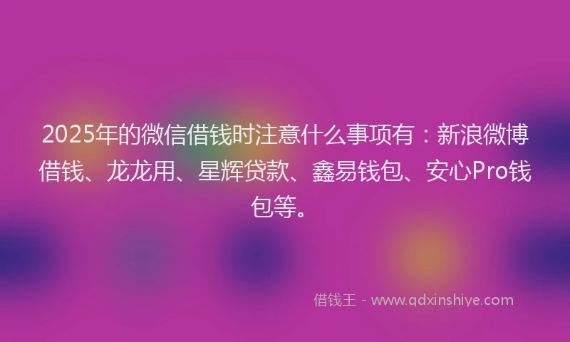 2025年的微信借钱时注意什么事项有：新浪微博借钱、龙龙用、星辉贷款、鑫易钱包、安心Pro钱包等。