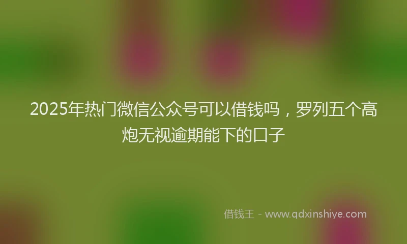 2025年热门微信公众号可以借钱吗，罗列五个高炮无视逾期能下的口子