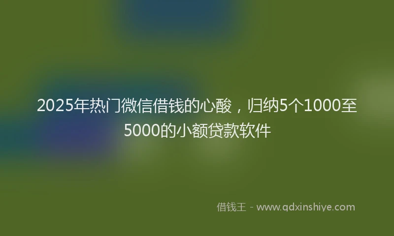 2025年热门微信借钱的心酸，归纳5个1000至5000的小额贷款软件
