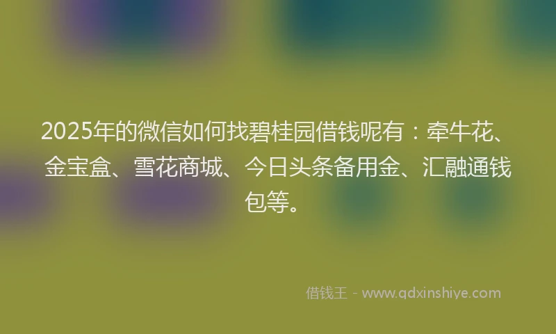 2025年的微信如何找碧桂园借钱呢有：牵牛花、金宝盒、雪花商城、今日头条备用金、汇融通钱包等。