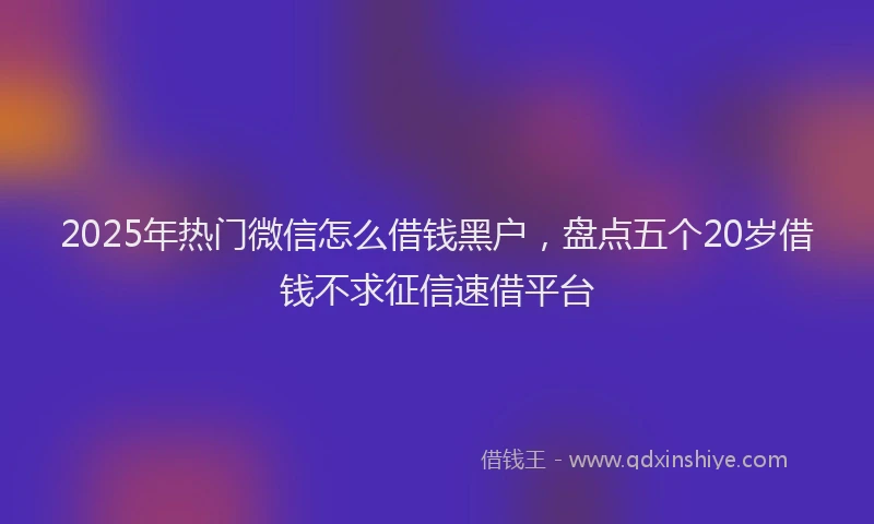 2025年热门微信怎么借钱黑户，盘点五个20岁借钱不求征信速借平台
