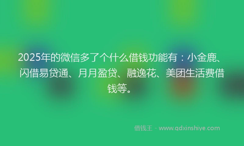 2025年的微信多了个什么借钱功能有：小金鹿、闪借易贷通、月月盈贷、融逸花、美团生活费借钱等。