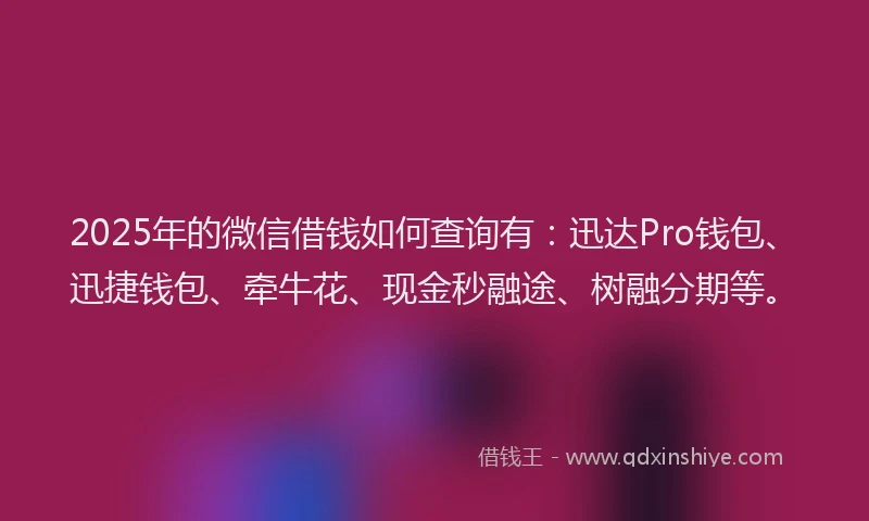 2025年的微信借钱如何查询有：迅达Pro钱包、迅捷钱包、牵牛花、现金秒融途、树融分期等。