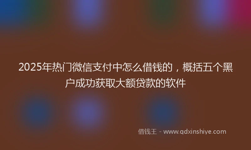 2025年热门微信支付中怎么借钱的，概括五个黑户成功获取大额贷款的软件