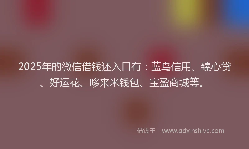 2025年的微信借钱还入口有：蓝鸟信用、臻心贷、好运花、哆来米钱包、宝盈商城等。