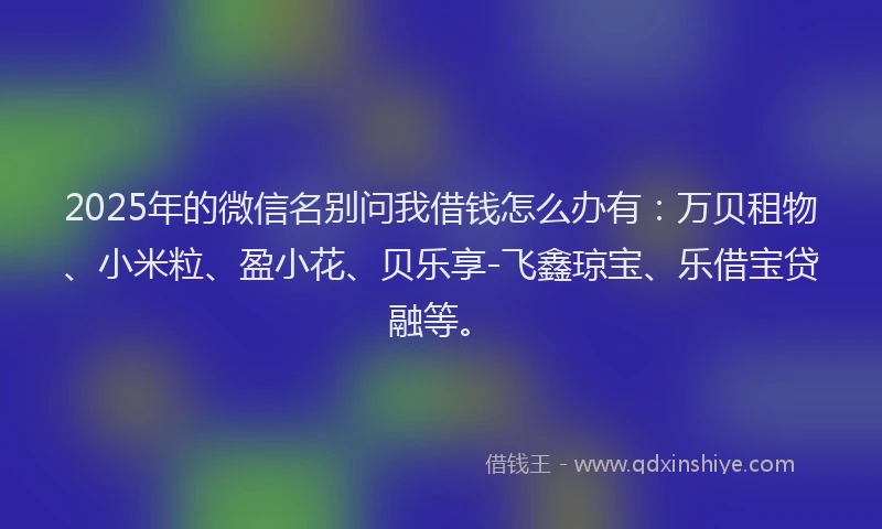 2025年的微信名别问我借钱怎么办有：万贝租物、小米粒、盈小花、贝乐享-飞鑫琼宝、乐借宝贷融等。
