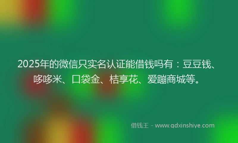 2025年的微信只实名认证能借钱吗有：豆豆钱、哆哆米、口袋金、桔享花、爱蹦商城等。