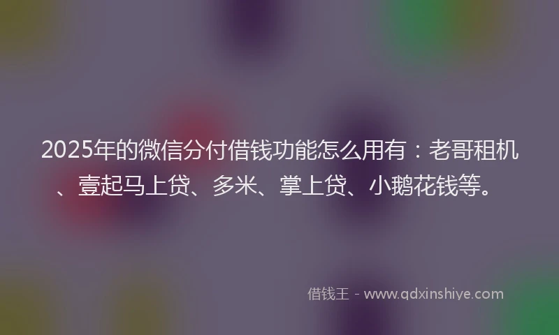 2025年的微信分付借钱功能怎么用有：老哥租机、壹起马上贷、多米、掌上贷、小鹅花钱等。