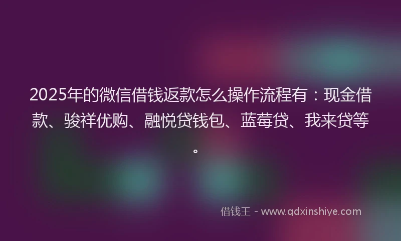2025年的微信借钱返款怎么操作流程有：现金借款、骏祥优购、融悦贷钱包、蓝莓贷、我来贷等。