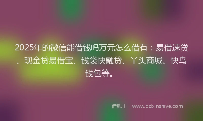2025年的微信能借钱吗万元怎么借有：易借速贷、现金贷易借宝、钱袋快融贷、丫头商城、快鸟钱包等。