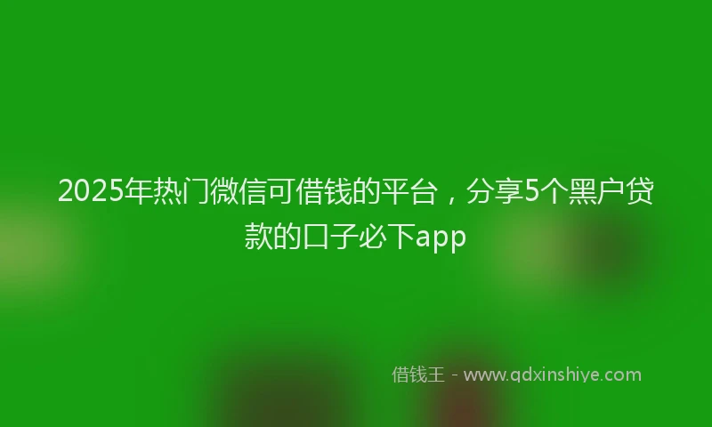 2025年热门微信可借钱的平台，分享5个黑户贷款的口子必下app