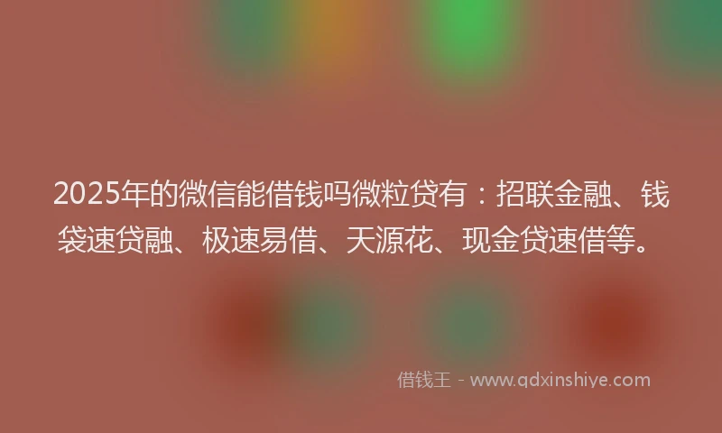 2025年的微信能借钱吗微粒贷有：招联金融、钱袋速贷融、极速易借、天源花、现金贷速借等。