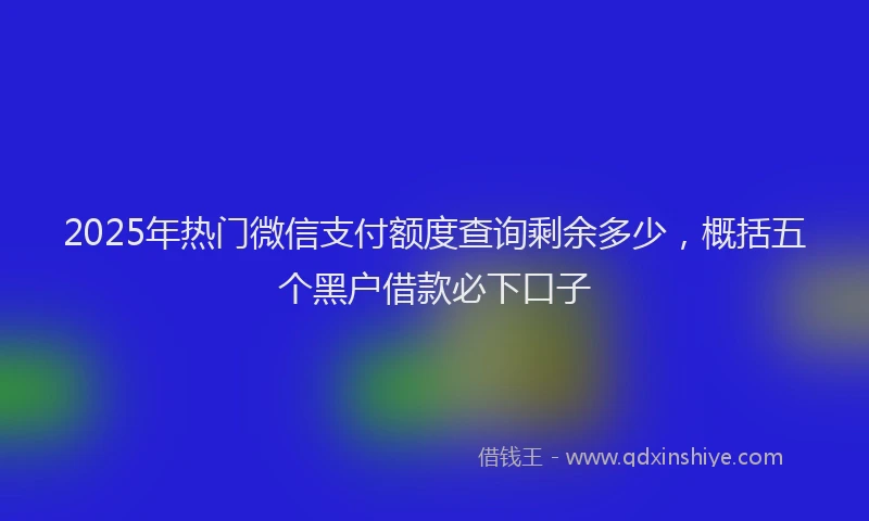 2025年热门微信支付额度查询剩余多少，概括五个黑户借款必下口子